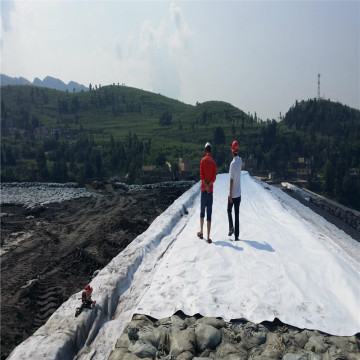 High Quality Earthwork Product 300g Nonwoven Geotextile
