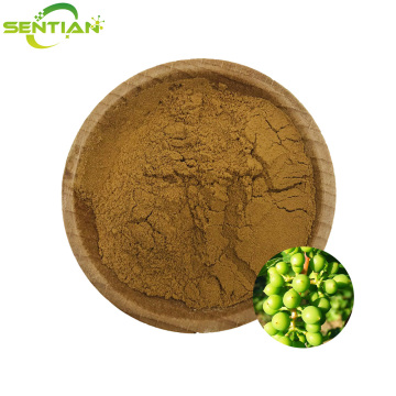 Premium Plant Extract with Chlorogenic Acid