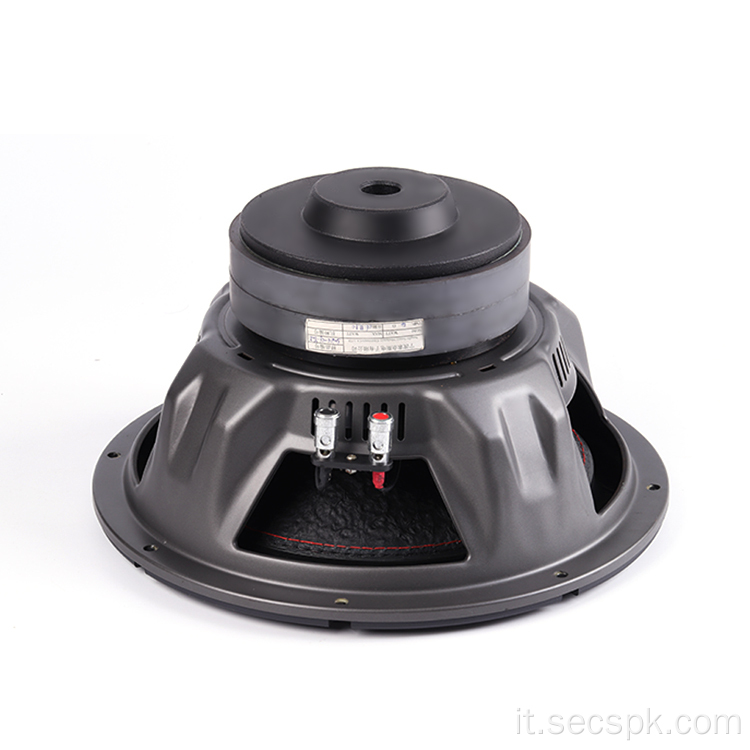 Subwoofer da 12 pollici audio professionale per auto