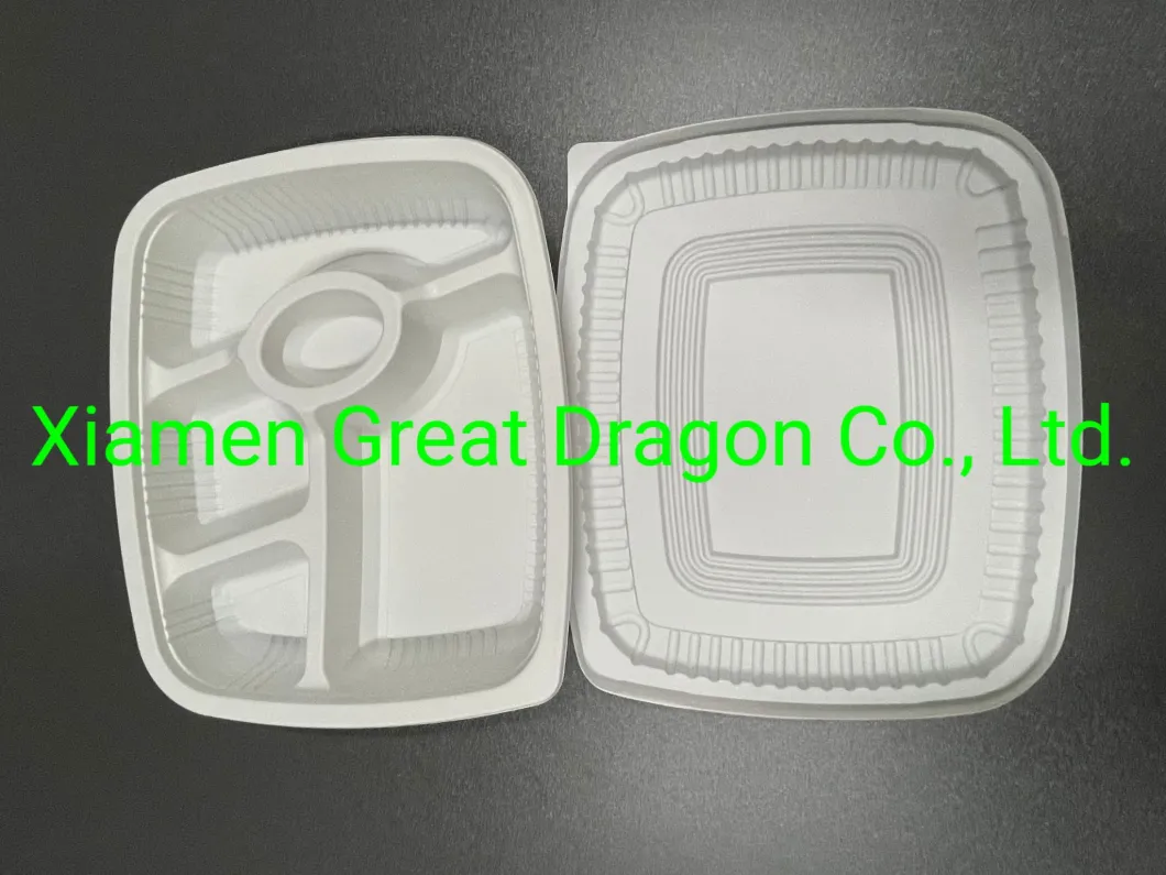 Biodegradable Disposable Sugarcane Bagasse Food Containers