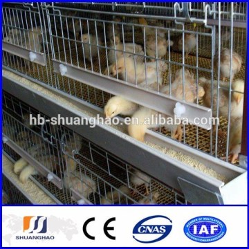 chicken layer cage price