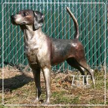 Hot Sale Outdoor yard put bronze dogs sculpture