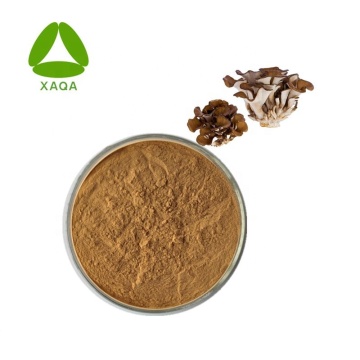 Grifola frondosa extract Maitake Extract 30% Polysaccharide