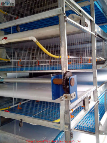 Zambia poultry farm pullet rearing cage Zambia poultry farm pullet rearing cage chicken cage  