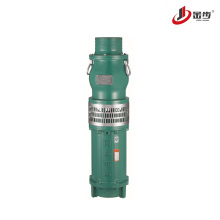 National Standard Oil Immersed Submersible Pump