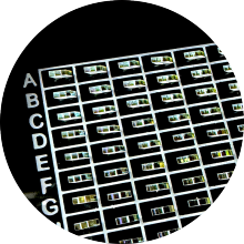 High-Performance PBS Assembly Solutions