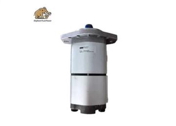 Rexroth Gear Pump And Double Gear Pump