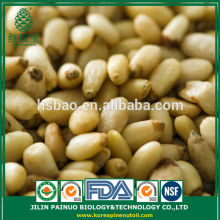 Bulk Direct Manufacturer Organic Red Pine Nut Kernels