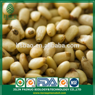 Bulk Direct Manufacturer Organic Red Pine Nut Kernels