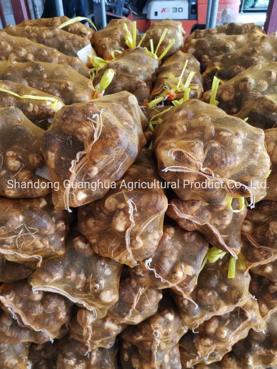 Washed Taro with High Quality Fresh Taro