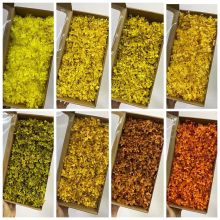 Yunnan Activelove Dried Hydrangea Flowers for Arrangements