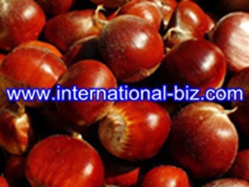 Chestnut Shell Brown