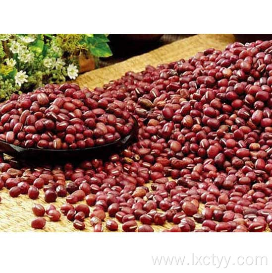 organic adzuki beans food