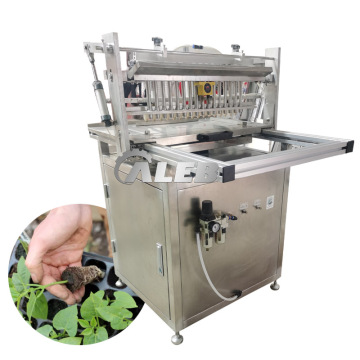 High Efficiency Seed Sowing Machine for Accurate Planting of Lettuce, Pumpkin Seeds, and Cucumbers