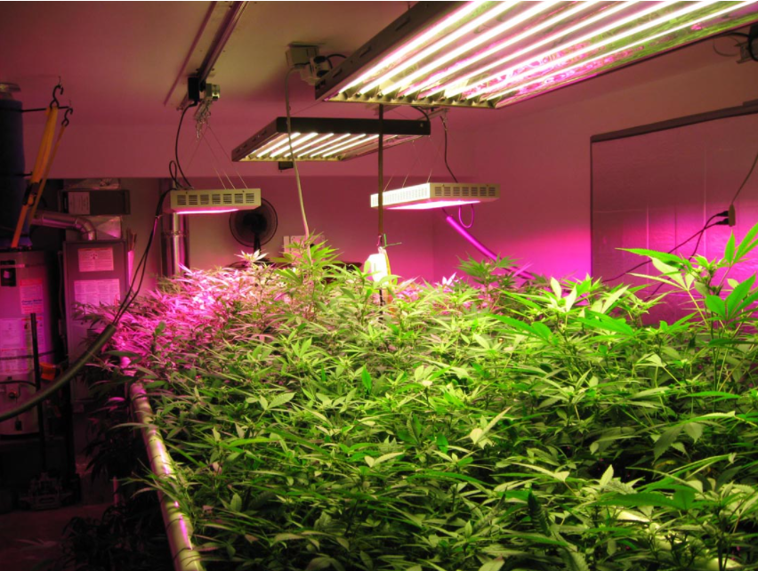 Led Grow Light For Indoor Gardening