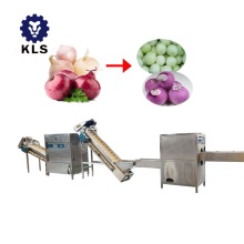 KLS Onion Peeler Machine and Onion Root Cutting Machine for Onion Processing Line