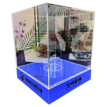 Clear Blue Acrylic Display Box with Acrylic Base