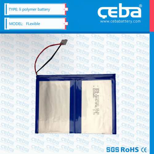 li-po lithium polymer CEBA 6600 mAh