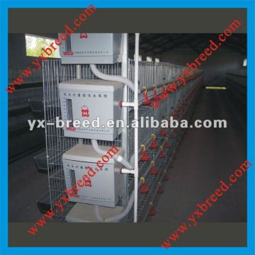 Meat & Broiler Chicken breeding cage