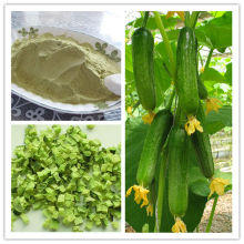 Natural Pure Cucumber Powder For Healthy Drinks