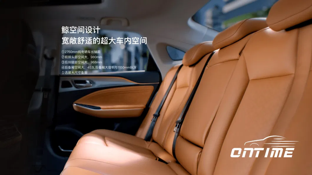 New Energy Electric Sedan Car S Version EV Car Left Hand Drive Electric Vehicle Electric Car