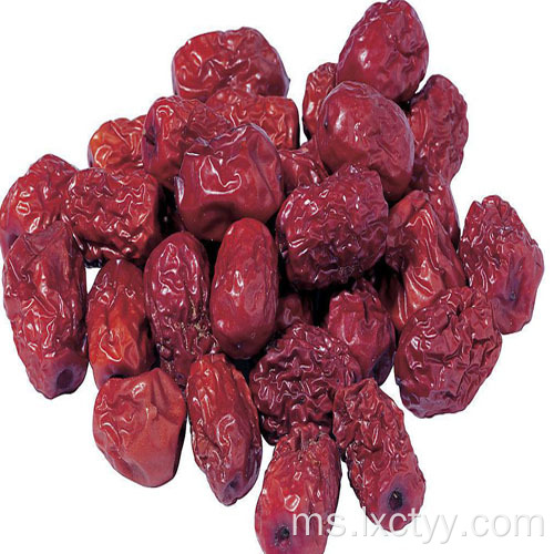 xinjiang jujube teh besar