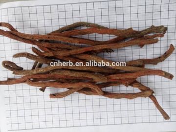 Red sage root Danshen