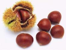 The Best Selected Fresh Chestnuts