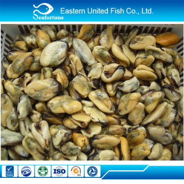 new arrival export boiled vacuum packaging mussel meat