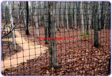 Plastic deer fence animal netting