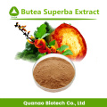 Prix ​​en vrac Butea Superba Extract Powder 10: 1