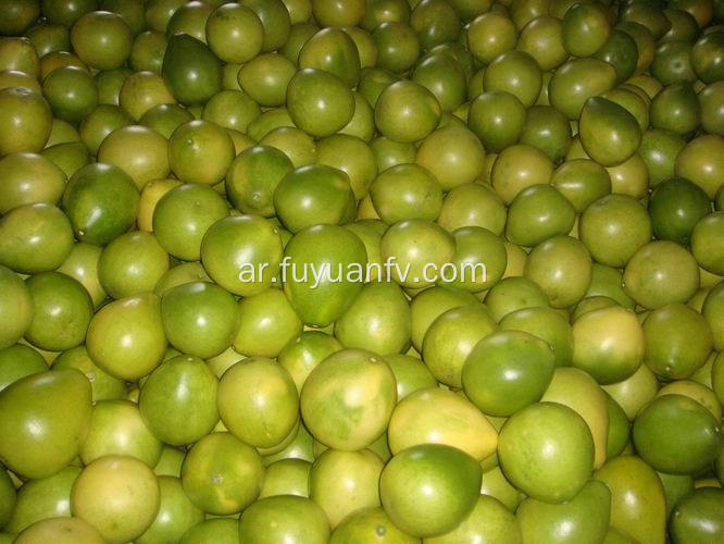 حار بيع لذيذ pomelo الطازجة