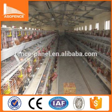 African market layer chicken cages / layer poultry cages for kenya farms                        
                                                Quality Choice