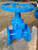 ANSI Cast Iron Body Brass Gate Valve