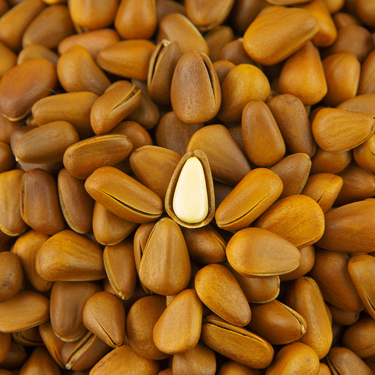 Premium Quality Chilgoza Pine Nut Kernels Shelling