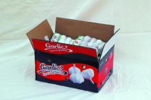 High quality hot sell garlic