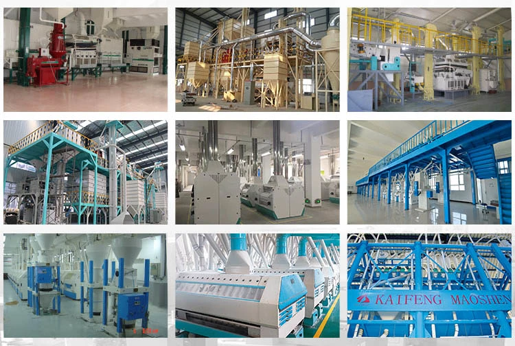 Cowpea Bean Grain Seed Cleaning Cleaner Machine
