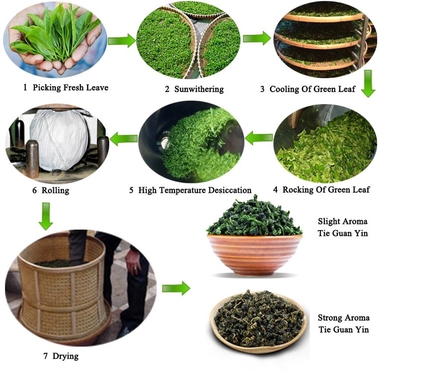 Factory supply wholesale Chinese best brand green tea