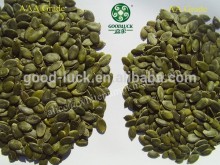 New Crop Pumpkin Seeds Kernels Without Shell, shine skin/snow white/gws