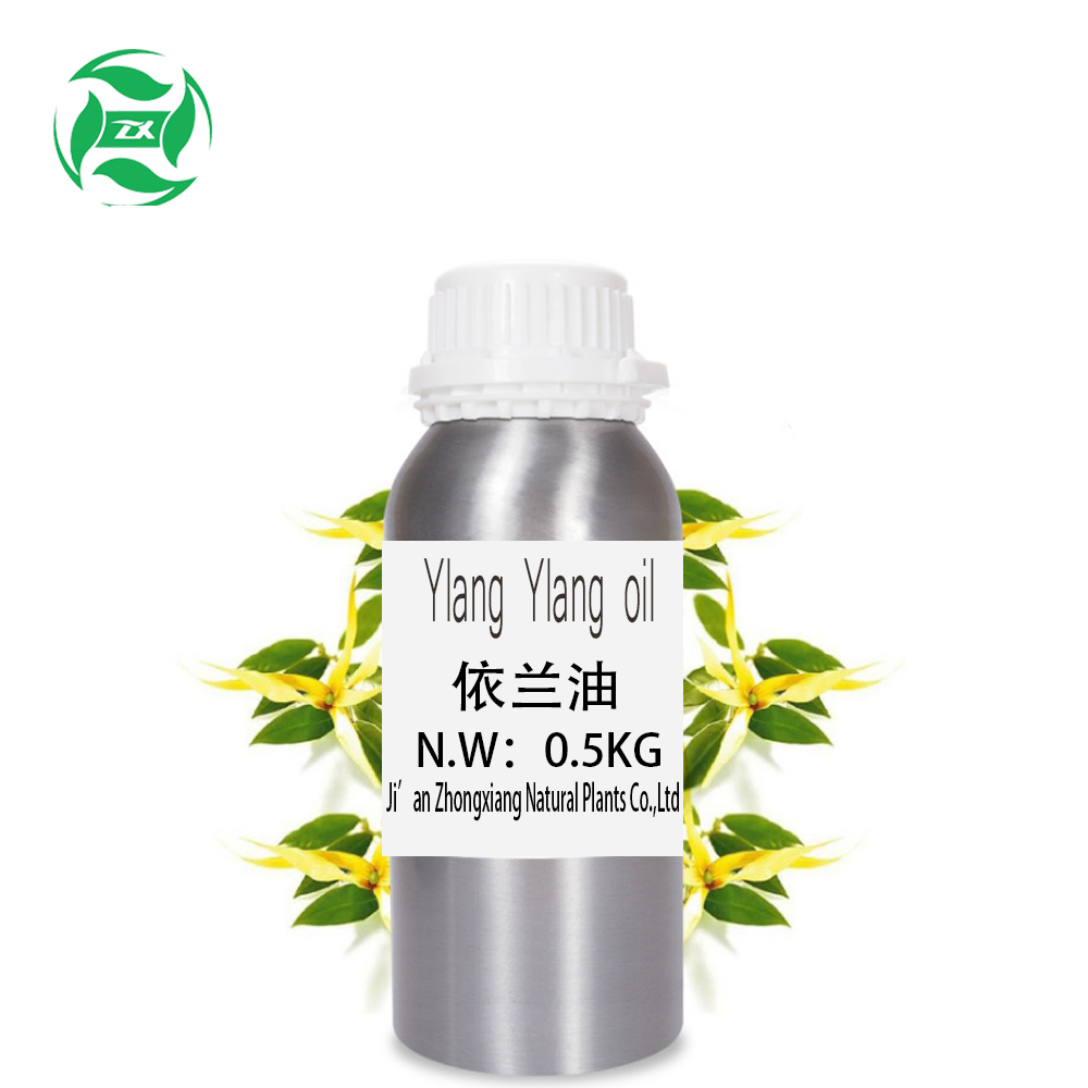 Olio di ylang ylang organico selvaggio all&#39;ingrosso OEM