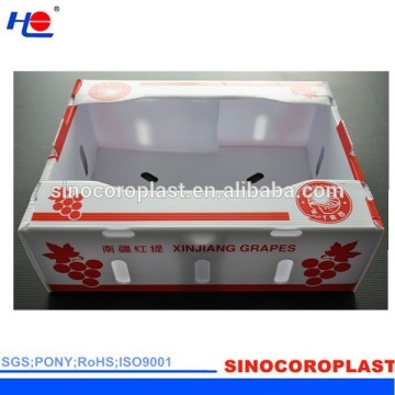 Corrugated Plasic Boxes Manufacturer