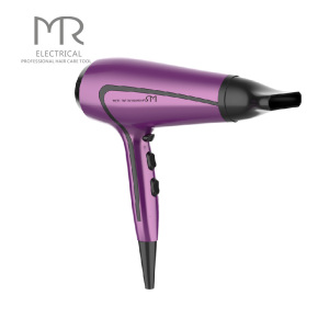 DC Motor High Speed Hair Dryer Professional