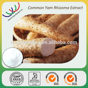 Free sample HACCP KOSHER FDA cGMP certified 6%-98% diosgenins common yam rhizoma extract common yam rhizoma powder