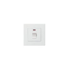 A5 series 20A switch with neon