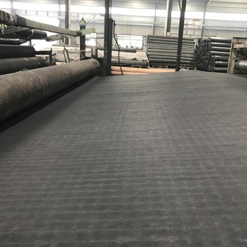 Kaldırım Takviyesi için Kompozit Polyester Geogrid