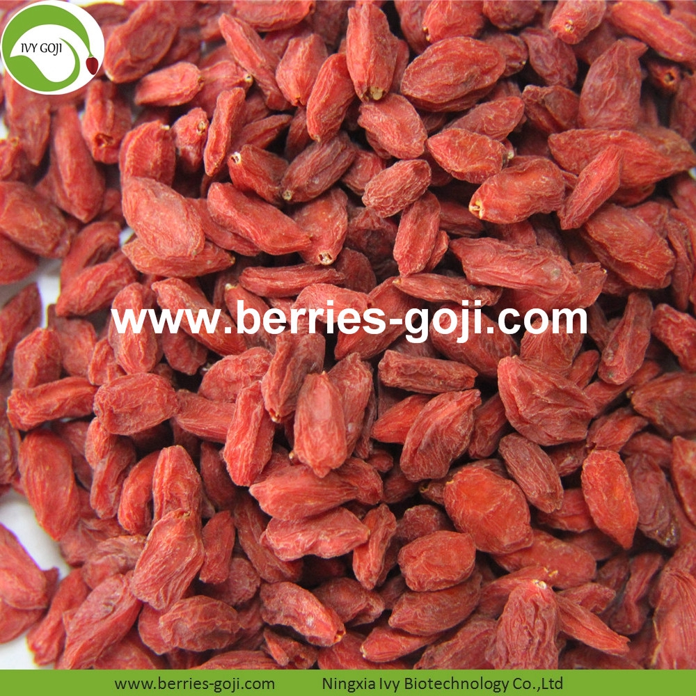Goji-Beeren goji berry