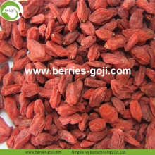 Best Quality Nutrition Dried Bio Goji Berries