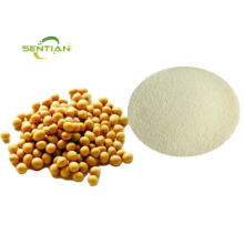 Soy Bean Protein Soy Protein Isolate