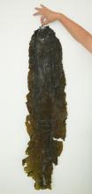Dried Seaweed Vegetales Baked Whole kelp