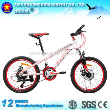 AURORA BOREALIS 20/mountain bikes/mountain biking/mtb/best mtb/mtb bike/mountainbike/mountainbikes/bike shop/bike shops/MTB bike